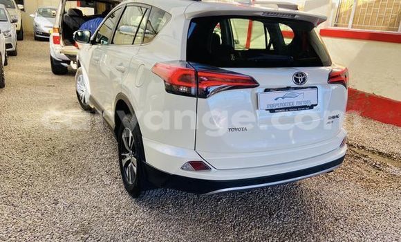 Buy Used Toyota RAV4 White Car in Windhoek in Namibia Buy Used Toyota RAV4 White Car in Windhoek in Namibia
