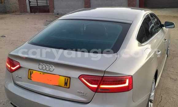 Acheter Occasion Voiture Nissan AD Autre à Windhoek, Namibie Acheter Occasion Voiture Nissan AD Autre à Windhoek, Namibie