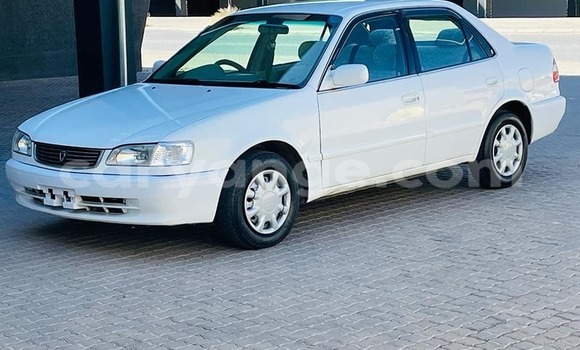 Buy Used Toyota Corolla White Car in Windhoek in Namibia Buy Used Toyota Corolla White Car in Windhoek in Namibia