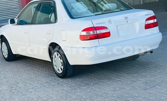 Acheter Occasion Voiture Toyota Corolla Blanc à Windhoek, Namibie Acheter Occasion Voiture Toyota Corolla Blanc à Windhoek, Namibie