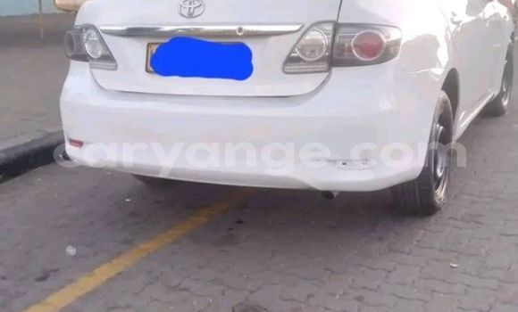 Acheter Occasion Voiture Toyota Corolla Blanc à Windhoek, Namibie Acheter Occasion Voiture Toyota Corolla Blanc à Windhoek, Namibie