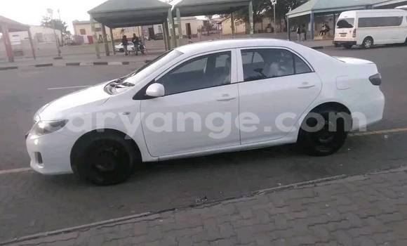 Acheter Occasion Voiture Toyota Corolla Blanc à Windhoek, Namibie Acheter Occasion Voiture Toyota Corolla Blanc à Windhoek, Namibie