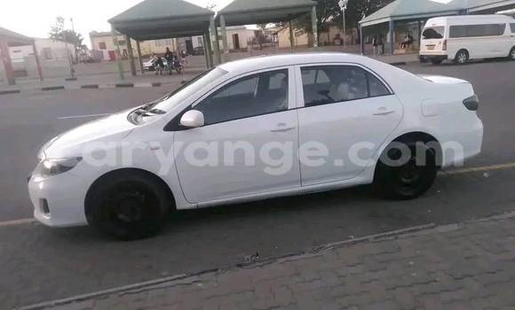 Acheter Occasion Voiture Toyota Corolla Blanc à Windhoek, Namibie Acheter Occasion Voiture Toyota Corolla Blanc à Windhoek, Namibie