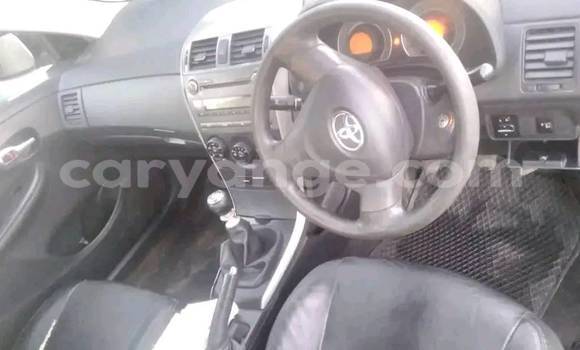 Acheter Occasion Voiture Toyota Corolla Blanc à Windhoek, Namibie Acheter Occasion Voiture Toyota Corolla Blanc à Windhoek, Namibie