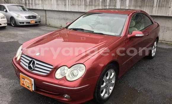 Buy Used Mercedes-Benz CLK-klasse Red Car in Tsumeb in Oshikoto Buy Used Mercedes-Benz CLK-klasse Red Car in Tsumeb in Oshikoto