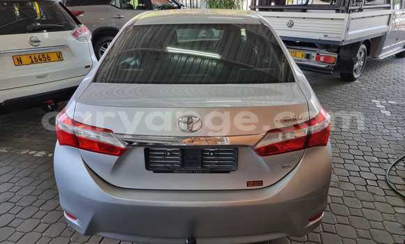 Acheter Occasion Voiture Toyota Corolla Autre à Windhoek, Namibie Acheter Occasion Voiture Toyota Corolla Autre à Windhoek, Namibie
