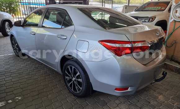 Acheter Occasion Voiture Toyota Corolla Autre à Windhoek, Namibie Acheter Occasion Voiture Toyota Corolla Autre à Windhoek, Namibie