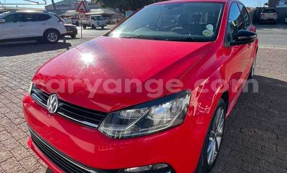 Buy Used Volkswagen Polo Red Car in Windhoek in Namibia