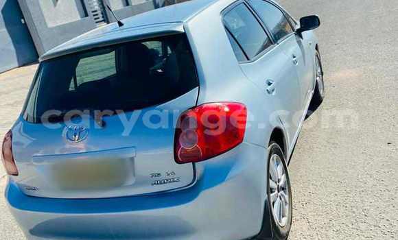 Acheter Occasion Voiture Toyota Auris Gris à Windhoek, Namibie Acheter Occasion Voiture Toyota Auris Gris à Windhoek, Namibie