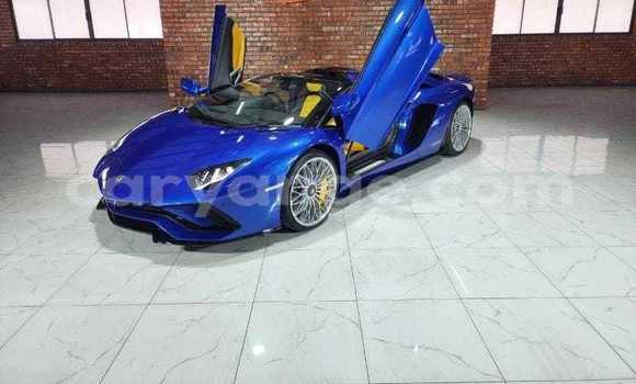 Buy Used Lamborghini Aventador Blue Car in Karasburg in Karas