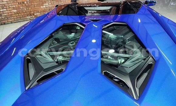 Buy Used Lamborghini Aventador Blue Car in Karasburg in Karas Buy Used Lamborghini Aventador Blue Car in Karasburg in Karas