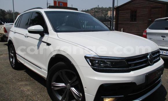 Buy Used Volkswagen Tiguan White Car in Grootfontein in Namibia