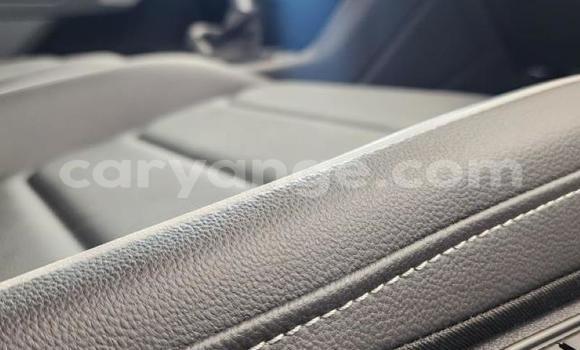 Acheter Occasion Voiture Volkswagen Tiguan Gris à Karasburg, Karas Acheter Occasion Voiture Volkswagen Tiguan Gris à Karasburg, Karas