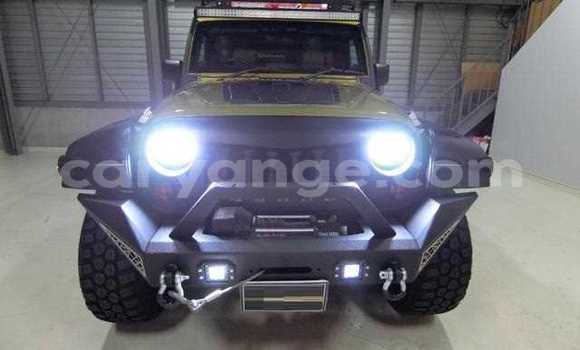 Buy Used Chrysler Windsor Green Car in Katima Mulilo in Caprivi