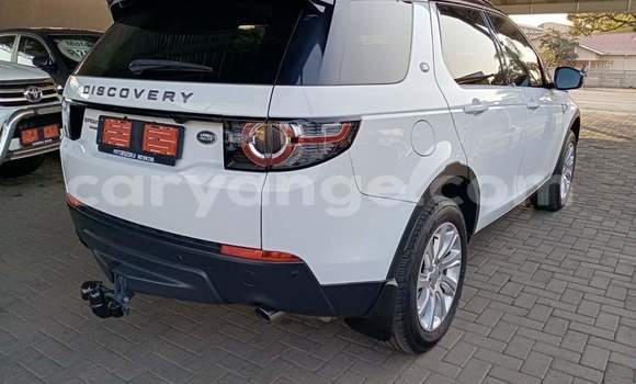 Buy Used Land Rover Discovery Sport White Car in Windhoek in Namibia Buy Used Land Rover Discovery Sport White Car in Windhoek in Namibia