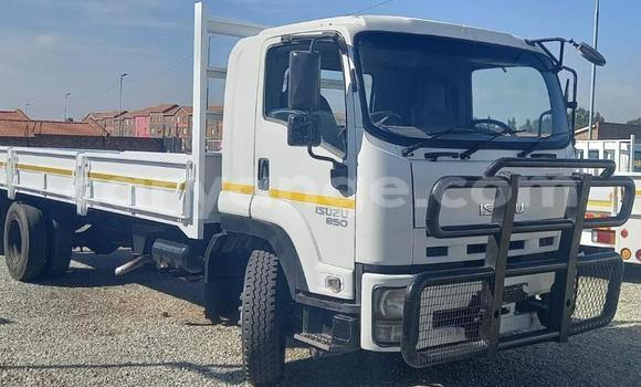 Buy Used Isuzu FTR 850 White Truck in Windhoek in Namibia