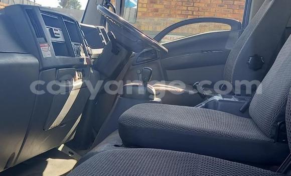 Buy Used Isuzu FTR 850 White Truck in Windhoek in Namibia Buy Used Isuzu FTR 850 White Truck in Windhoek in Namibia