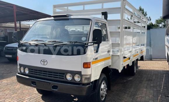 Buy Used Toyota Dyna White Truck in Windhoek in Namibia