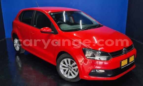 Buy Used Volkswagen Polo Red Car in Gobabis in Omaheke