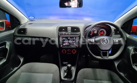 Buy Used Volkswagen Polo Red Car in Gobabis in Omaheke Buy Used Volkswagen Polo Red Car in Gobabis in Omaheke