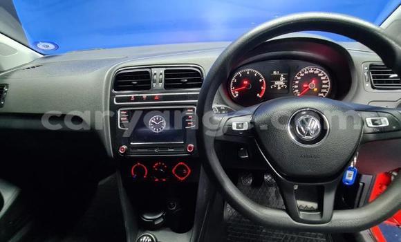 Buy Used Volkswagen Polo Red Car in Gobabis in Omaheke Buy Used Volkswagen Polo Red Car in Gobabis in Omaheke