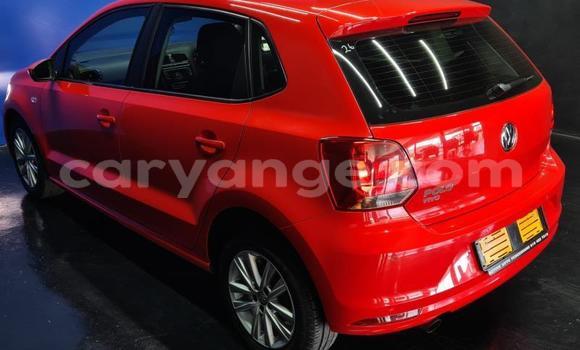 Buy Used Volkswagen Polo Red Car in Gobabis in Omaheke Buy Used Volkswagen Polo Red Car in Gobabis in Omaheke
