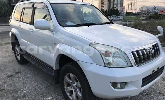 Buy Used Toyota Land Cruiser Prado White Car in Grootfontein in Namibia Buy Used Toyota Land Cruiser Prado White Car in Grootfontein in Namibia