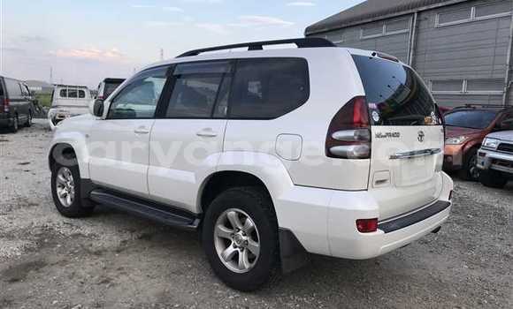 Buy Used Toyota Land Cruiser Prado White Car in Grootfontein in Namibia Buy Used Toyota Land Cruiser Prado White Car in Grootfontein in Namibia