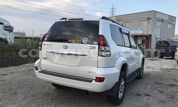 Buy Used Toyota Land Cruiser Prado White Car in Grootfontein in Namibia Buy Used Toyota Land Cruiser Prado White Car in Grootfontein in Namibia