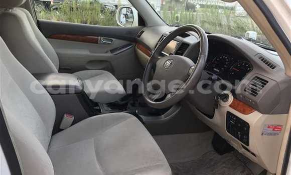 Buy Used Toyota Land Cruiser Prado White Car in Grootfontein in Namibia Buy Used Toyota Land Cruiser Prado White Car in Grootfontein in Namibia