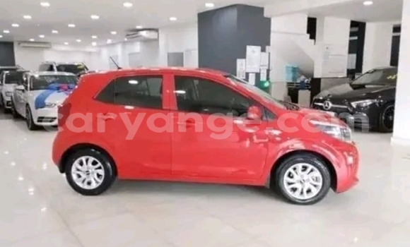 Buy Used Kia Picanto Red Car in Gobabis in Omaheke Buy Used Kia Picanto Red Car in Gobabis in Omaheke