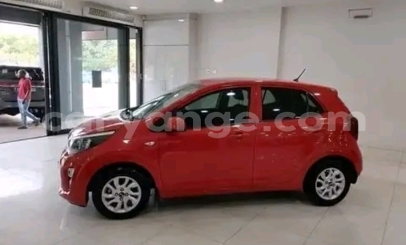 Buy Used Kia Picanto Red Car in Gobabis in Omaheke Buy Used Kia Picanto Red Car in Gobabis in Omaheke