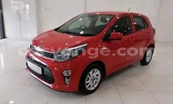 Buy Used Kia Picanto Red Car in Gobabis in Omaheke Buy Used Kia Picanto Red Car in Gobabis in Omaheke