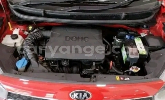 Buy Used Kia Picanto Red Car in Gobabis in Omaheke Buy Used Kia Picanto Red Car in Gobabis in Omaheke