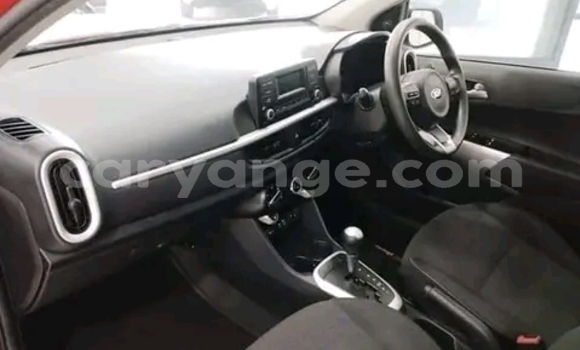 Buy Used Kia Picanto Red Car in Gobabis in Omaheke Buy Used Kia Picanto Red Car in Gobabis in Omaheke