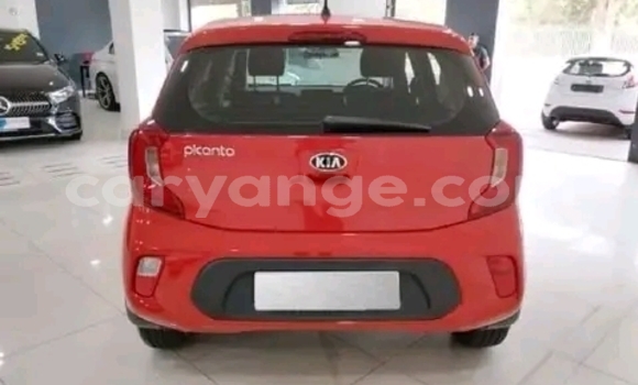 Buy Used Kia Picanto Red Car in Gobabis in Omaheke Buy Used Kia Picanto Red Car in Gobabis in Omaheke