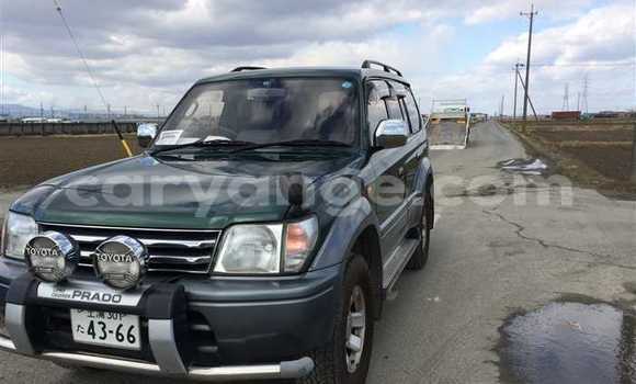 Buy Used Toyota Land Cruiser Prado Green Car in Opuwo in Kunene Buy Used Toyota Land Cruiser Prado Green Car in Opuwo in Kunene