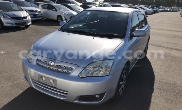 Buy Used Toyota Allex Silver Car in Windhoek in Namibia