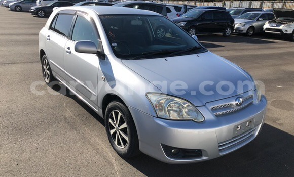 Buy Used Toyota Allex Silver Car in Windhoek in Namibia Buy Used Toyota Allex Silver Car in Windhoek in Namibia