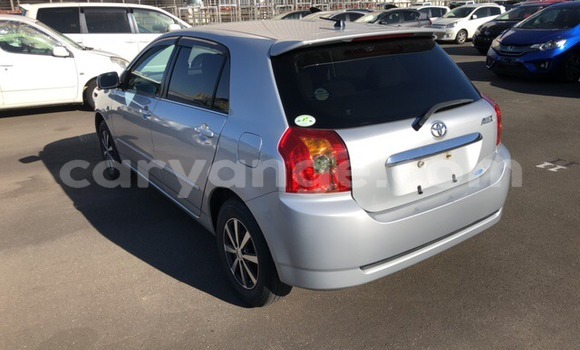 Buy Used Toyota Allex Silver Car in Windhoek in Namibia Buy Used Toyota Allex Silver Car in Windhoek in Namibia
