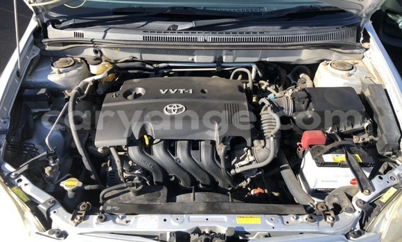 Buy Used Toyota Allex Silver Car in Windhoek in Namibia Buy Used Toyota Allex Silver Car in Windhoek in Namibia