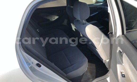 Buy Used Toyota Allex Silver Car in Windhoek in Namibia Buy Used Toyota Allex Silver Car in Windhoek in Namibia