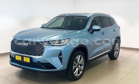 Buy Used Haval H6 Blue Car in Windhoek in Namibia