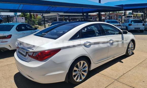Buy Used Hyundai Sonata White Car in Windhoek in Namibia Buy Used Hyundai Sonata White Car in Windhoek in Namibia