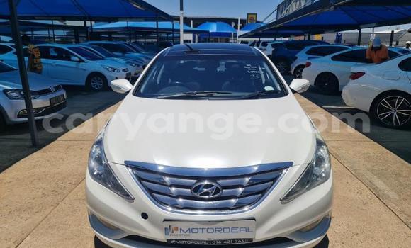 Buy Used Hyundai Sonata White Car in Windhoek in Namibia Buy Used Hyundai Sonata White Car in Windhoek in Namibia