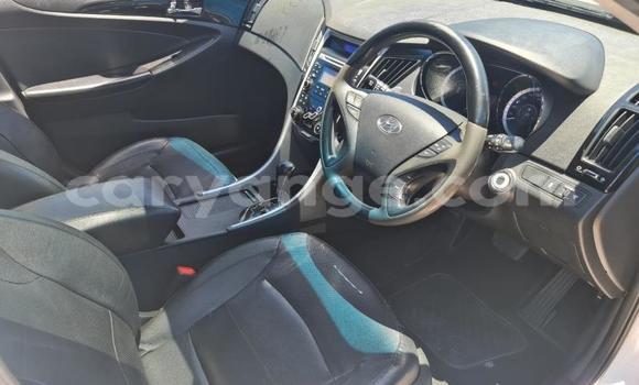 Buy Used Hyundai Sonata White Car in Windhoek in Namibia Buy Used Hyundai Sonata White Car in Windhoek in Namibia