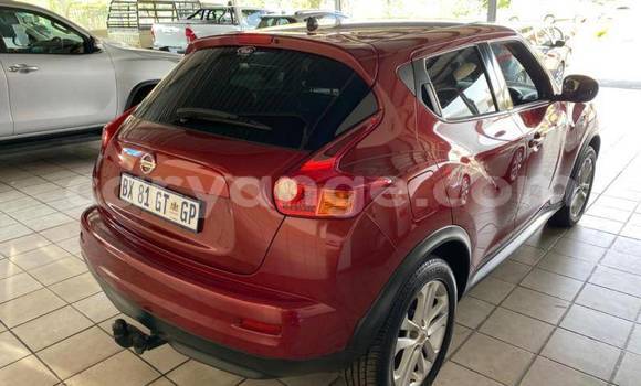 Buy Used Nissan Juke Red Car in Windhoek in Namibia Buy Used Nissan Juke Red Car in Windhoek in Namibia