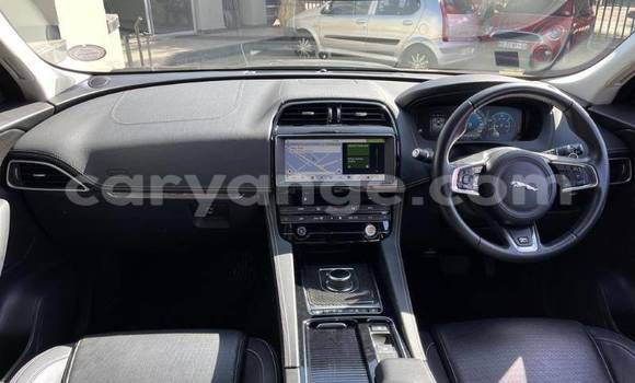 Buy Used Jaguar F-Pace White Car in Windhoek in Namibia Buy Used Jaguar F-Pace White Car in Windhoek in Namibia