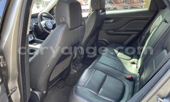 Buy Used Jaguar F-Pace White Car in Windhoek in Namibia Buy Used Jaguar F-Pace White Car in Windhoek in Namibia