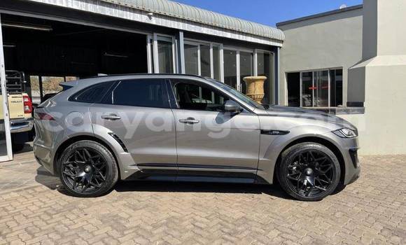 Buy Used Jaguar F-Pace White Car in Windhoek in Namibia Buy Used Jaguar F-Pace White Car in Windhoek in Namibia